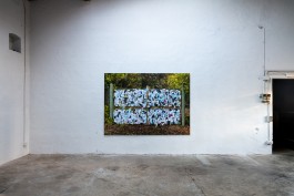 Steve Bisson